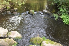 Osterauinsel