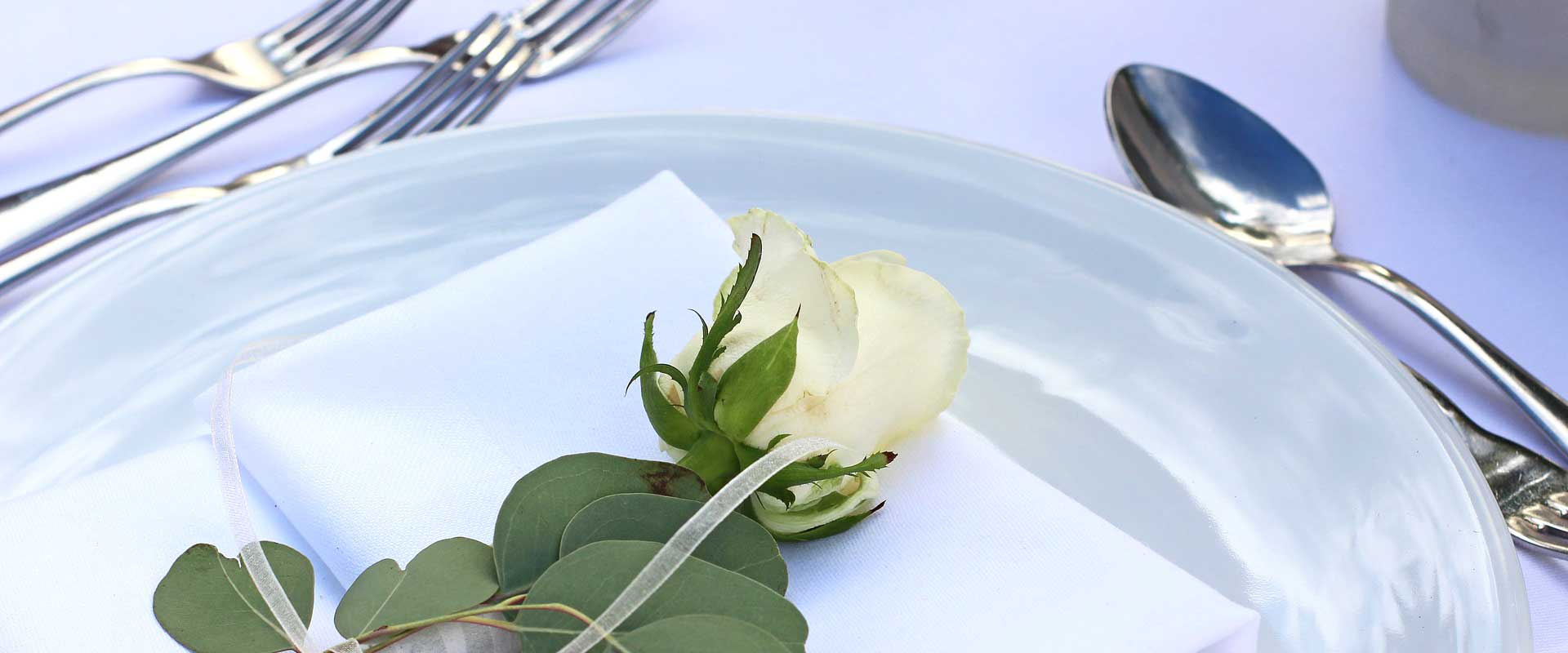 „Dinner In White“